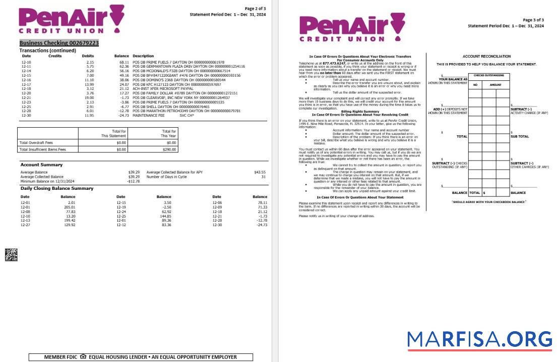 Downloadable USA Florida PenAir Credit Union bank statement word 3 pages 2 download for verification